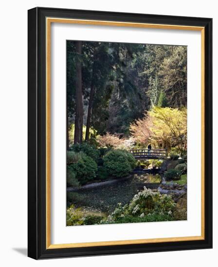 Japanese Gardens in Washington Park, Portland, Oregon, USA-Janis Miglavs-Framed Photographic Print