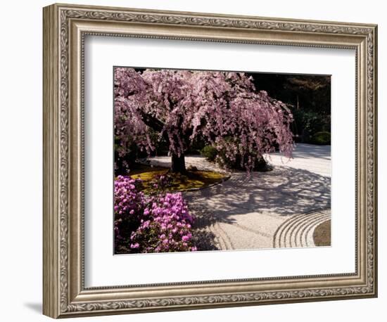 Japanese Gardens in Washington Park, Portland, Oregon, USA-Janis Miglavs-Framed Photographic Print