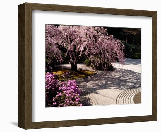 Japanese Gardens in Washington Park, Portland, Oregon, USA-Janis Miglavs-Framed Photographic Print