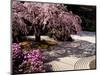 Japanese Gardens in Washington Park, Portland, Oregon, USA-Janis Miglavs-Mounted Photographic Print