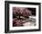 Japanese Gardens in Washington Park, Portland, Oregon, USA-Janis Miglavs-Framed Photographic Print