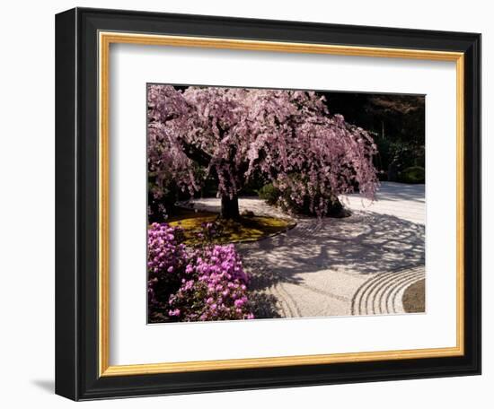 Japanese Gardens in Washington Park, Portland, Oregon, USA-Janis Miglavs-Framed Photographic Print