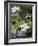 Japanese Gardens, Monte Carlo, Monaco-Ethel Davies-Framed Photographic Print