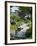 Japanese Gardens, Monte Carlo, Monaco-Ethel Davies-Framed Photographic Print