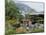 Japanese Gardens, Monte Carlo, Monaco-Ethel Davies-Mounted Photographic Print