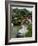 Japanese Gardens, Monte Carlo, Monaco-Ethel Davies-Framed Photographic Print