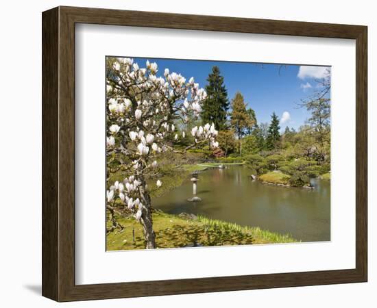 Japanese Gardens Part of Washington Park Arboretum, Seattle, Washington, USA-Trish Drury-Framed Photographic Print