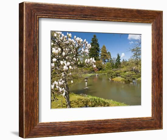 Japanese Gardens Part of Washington Park Arboretum, Seattle, Washington, USA-Trish Drury-Framed Photographic Print