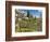 Japanese Gardens Part of Washington Park Arboretum, Seattle, Washington, USA-Trish Drury-Framed Photographic Print