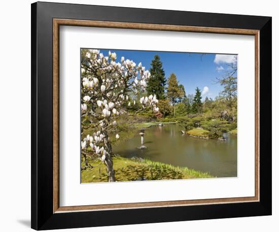 Japanese Gardens Part of Washington Park Arboretum, Seattle, Washington, USA-Trish Drury-Framed Photographic Print