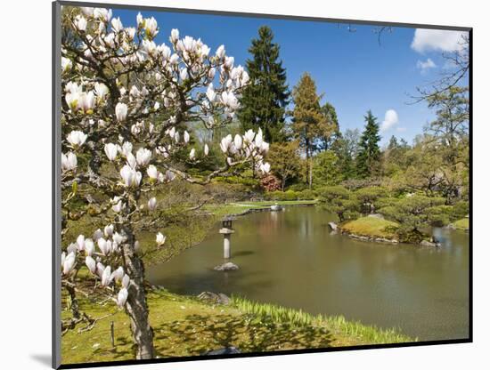 Japanese Gardens Part of Washington Park Arboretum, Seattle, Washington, USA-Trish Drury-Mounted Photographic Print