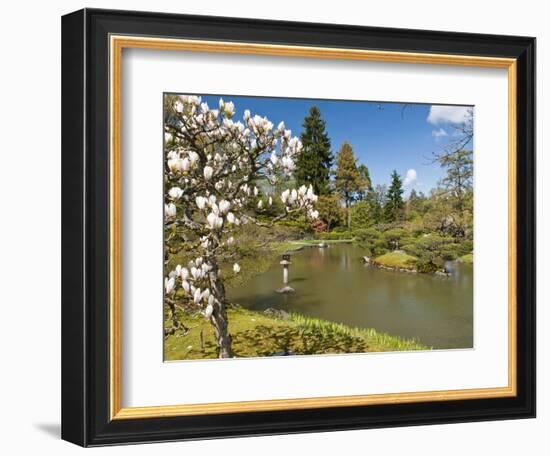 Japanese Gardens Part of Washington Park Arboretum, Seattle, Washington, USA-Trish Drury-Framed Photographic Print