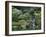 Japanese Gardens, Portland, Oregon, USA-null-Framed Photographic Print