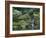 Japanese Gardens, Portland, Oregon, USA-null-Framed Photographic Print