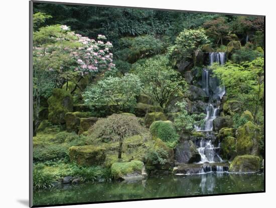 Japanese Gardens, Portland, Oregon, USA-null-Mounted Photographic Print