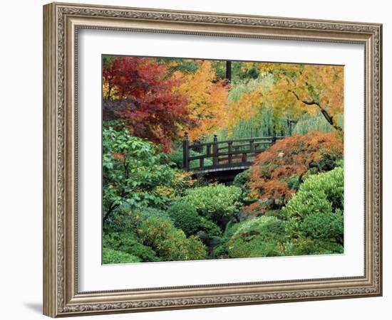 Japanese Gardens, Portland, Oregon, USA-null-Framed Photographic Print