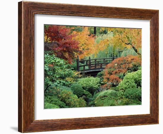 Japanese Gardens, Portland, Oregon, USA-null-Framed Photographic Print