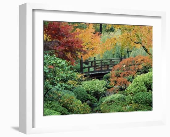 Japanese Gardens, Portland, Oregon, USA-null-Framed Photographic Print