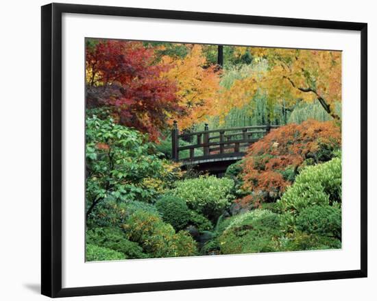 Japanese Gardens, Portland, Oregon, USA-null-Framed Photographic Print