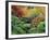 Japanese Gardens, Portland, Oregon, USA-null-Framed Photographic Print