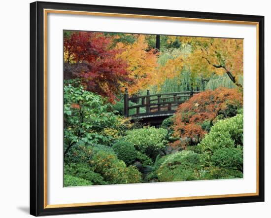 Japanese Gardens, Portland, Oregon, USA-null-Framed Photographic Print