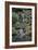 Japanese Gardens VI-Brian Moore-Framed Photographic Print