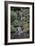 Japanese Gardens VI-Brian Moore-Framed Photographic Print