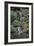 Japanese Gardens VI-Brian Moore-Framed Photographic Print