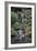 Japanese Gardens VI-Brian Moore-Framed Photographic Print