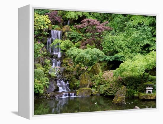 Japanese Gardens Washington Park Portland Oregon, USA-null-Framed Premier Image Canvas