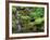 Japanese Gardens Washington Park Portland Oregon, USA-null-Framed Photographic Print