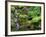 Japanese Gardens Washington Park Portland Oregon, USA-null-Framed Photographic Print
