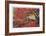 Japanese Gardens-Donald Paulson-Framed Giclee Print