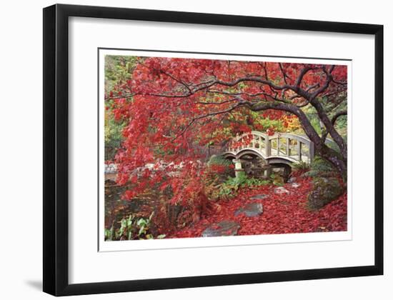 Japanese Gardens-Donald Paulson-Framed Giclee Print