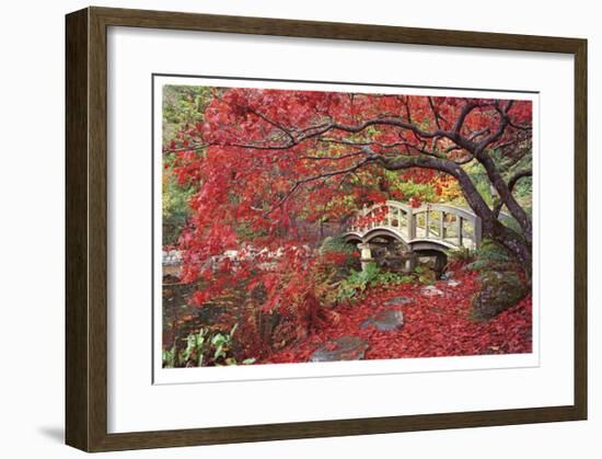 Japanese Gardens-Donald Paulson-Framed Giclee Print