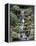 Japanese Gardens-Rick Bowmer-Framed Premier Image Canvas