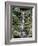 Japanese Gardens-Rick Bowmer-Framed Photographic Print