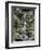 Japanese Gardens-Rick Bowmer-Framed Photographic Print