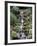 Japanese Gardens-Rick Bowmer-Framed Photographic Print