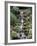 Japanese Gardens-Rick Bowmer-Framed Photographic Print