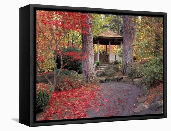 Japanese Gazebo with Fall Colors, Spokane, Washington, USA-Jamie & Judy Wild-Framed Premier Image Canvas