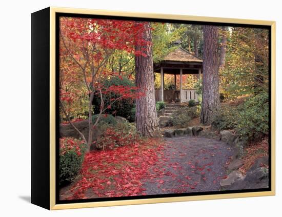 Japanese Gazebo with Fall Colors, Spokane, Washington, USA-Jamie & Judy Wild-Framed Premier Image Canvas