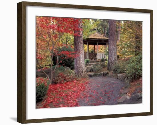 Japanese Gazebo with Fall Colors, Spokane, Washington, USA-Jamie & Judy Wild-Framed Photographic Print