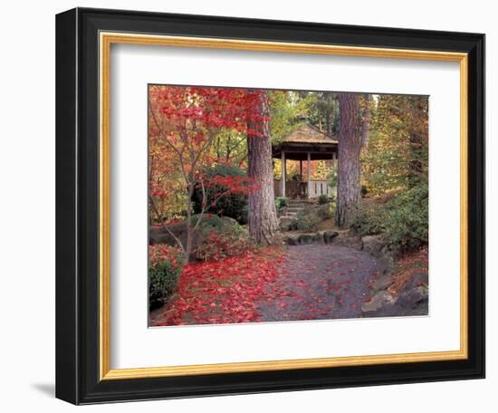 Japanese Gazebo with Fall Colors, Spokane, Washington, USA-Jamie & Judy Wild-Framed Photographic Print