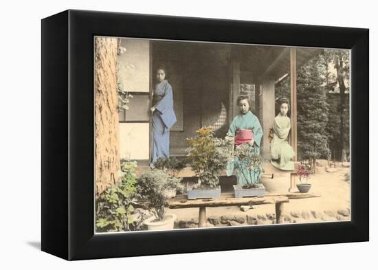 Japanese Girls with Bonsai-null-Framed Stretched Canvas