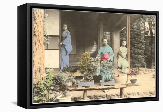 Japanese Girls with Bonsai-null-Framed Stretched Canvas