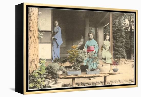 Japanese Girls with Bonsai-null-Framed Stretched Canvas