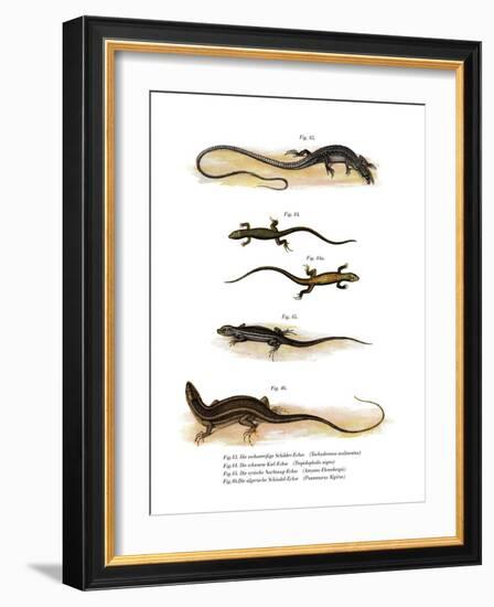 Japanese Grass Lizard-null-Framed Giclee Print