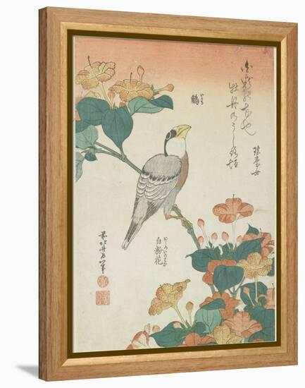 Japanese Grosbeak and Four-O'Cloks, C. 1833-Katsushika Hokusai-Framed Premier Image Canvas