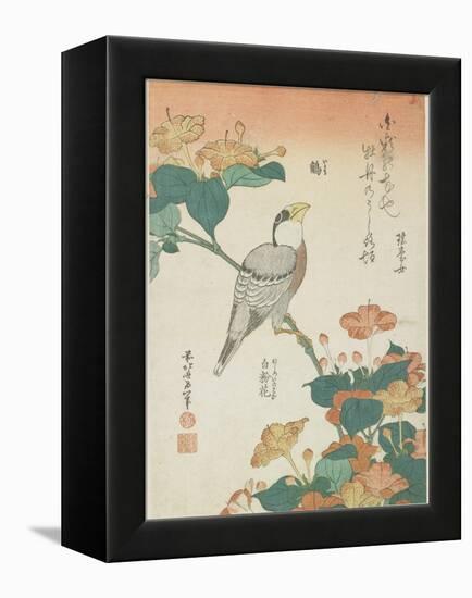 Japanese Grosbeak and Four-O'Cloks, C. 1833-Katsushika Hokusai-Framed Premier Image Canvas